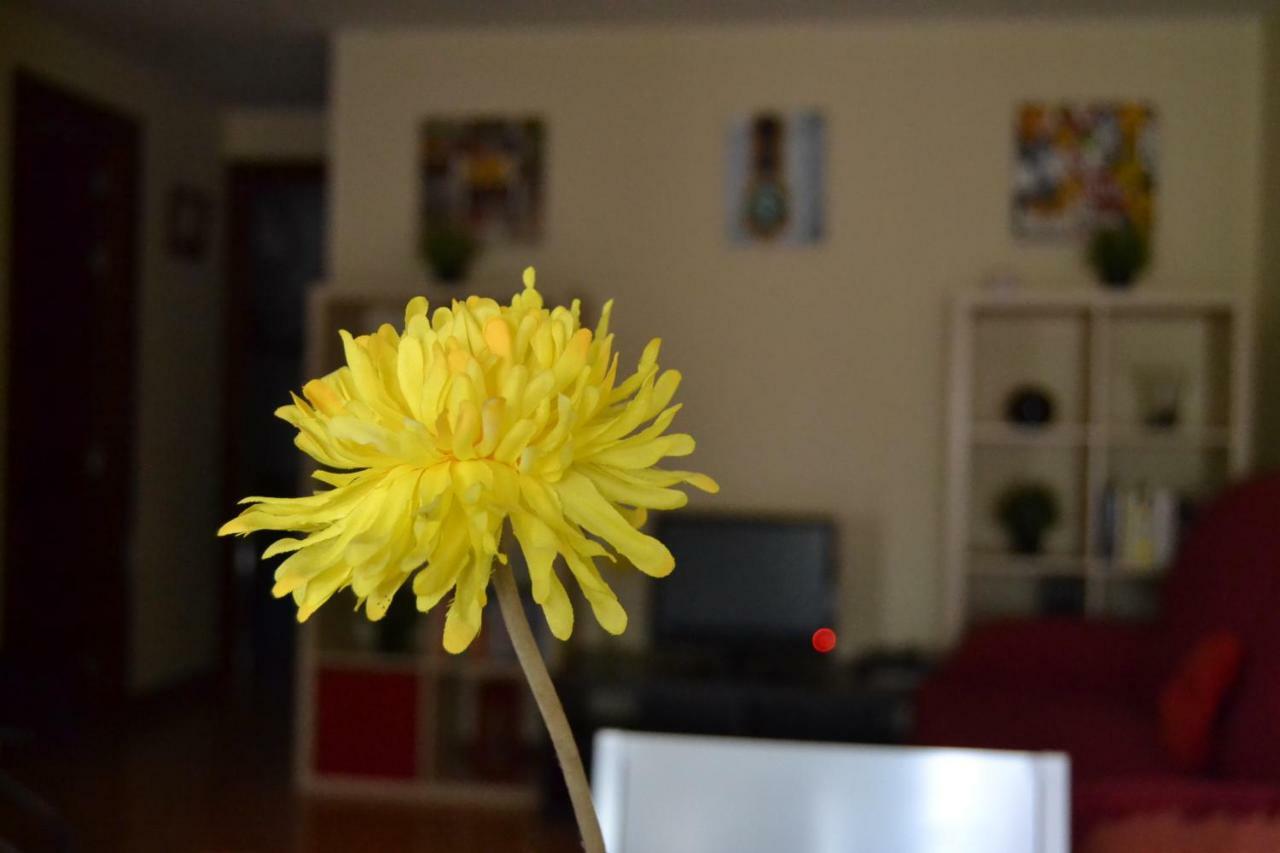 Apartamento Turistico Dct. Creus Guadalajara Exteriér fotografie